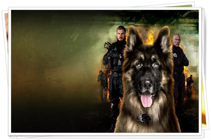 Сериал «РэмбО» 2 сезон